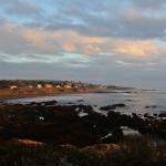 Cambria_0180 (November 04, 2017)